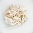 Nấm Sò Trắng