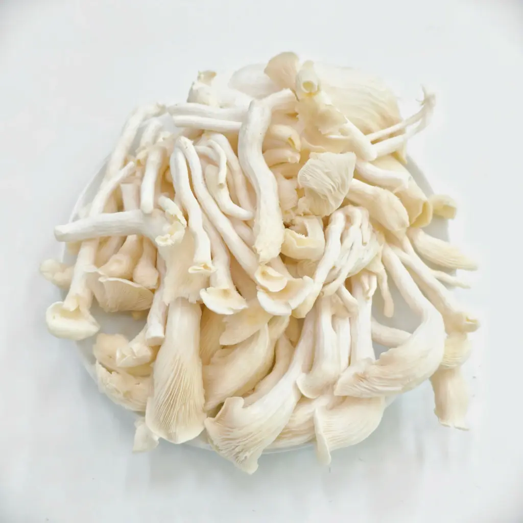 Nấm sò trắng megami mushroom 500g