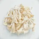 Nấm sò trắng megami mushroom 500g
