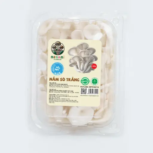Nấm Sò Trắng