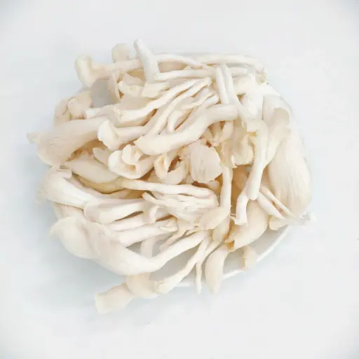 Nấm Sò Trắng