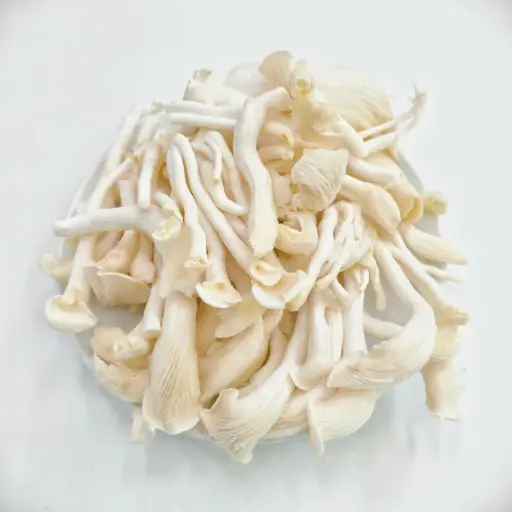 Nấm sò trắng megami mushroom 500g