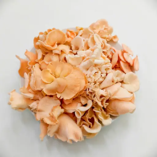 Nấm sò hồng megami mushroom 500g