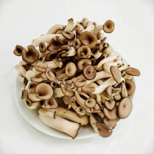 Nấm sò tím megami mushroom 500g 