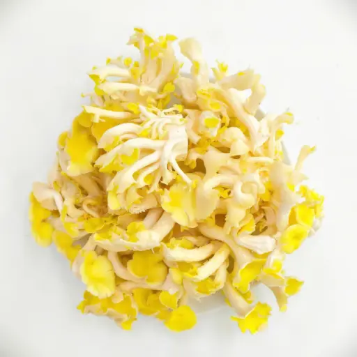 Nấm sò vàng megami mushroom 500g 